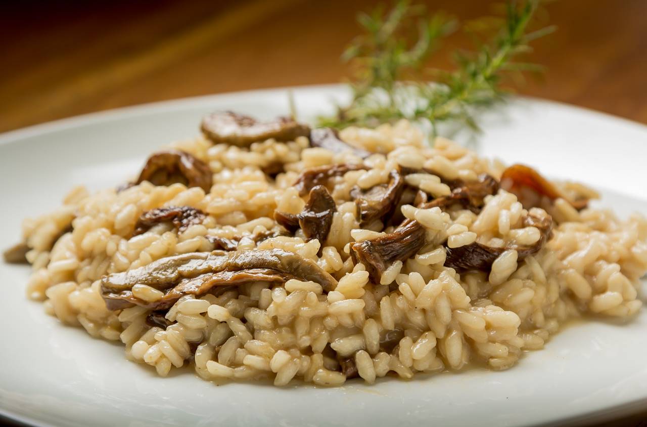 rice 4457143 1920